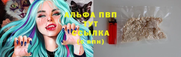 гашик Баксан