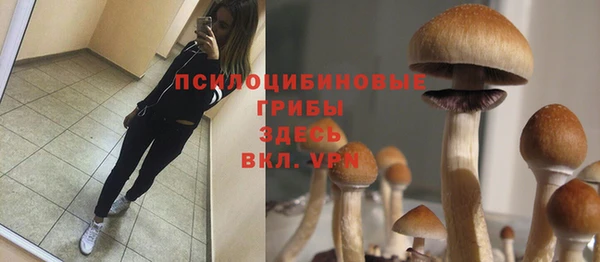 гашик Баксан